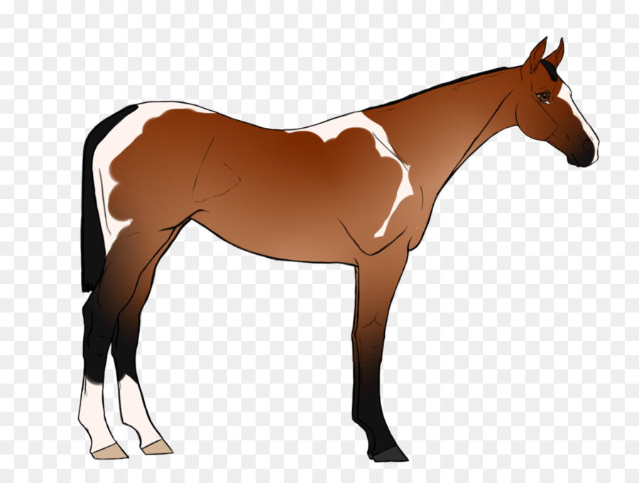 Caballo，Semental PNG