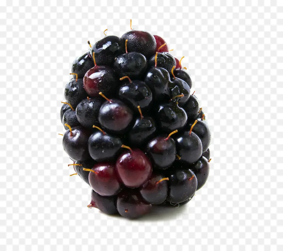 Berry，Boysenberry PNG