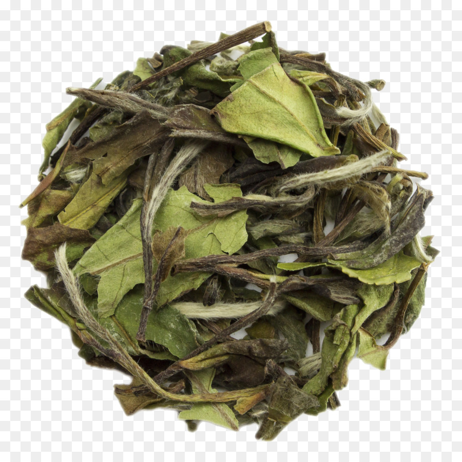 Bai Mudan，Té Blanco PNG