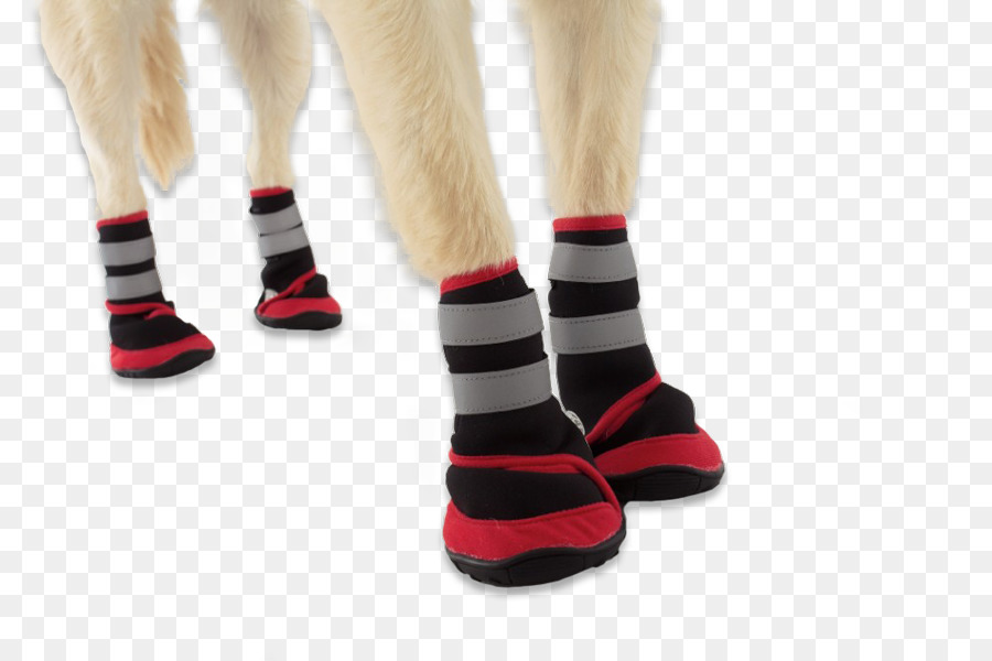 Perro，Perro Botines PNG