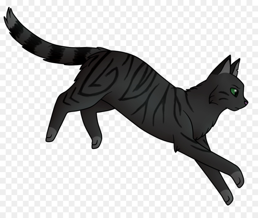 Gato Negro，Felino PNG