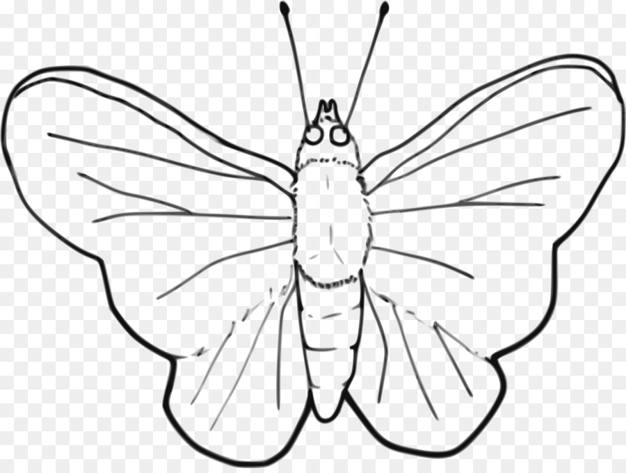 Dibujo De Mariposa，Insecto PNG