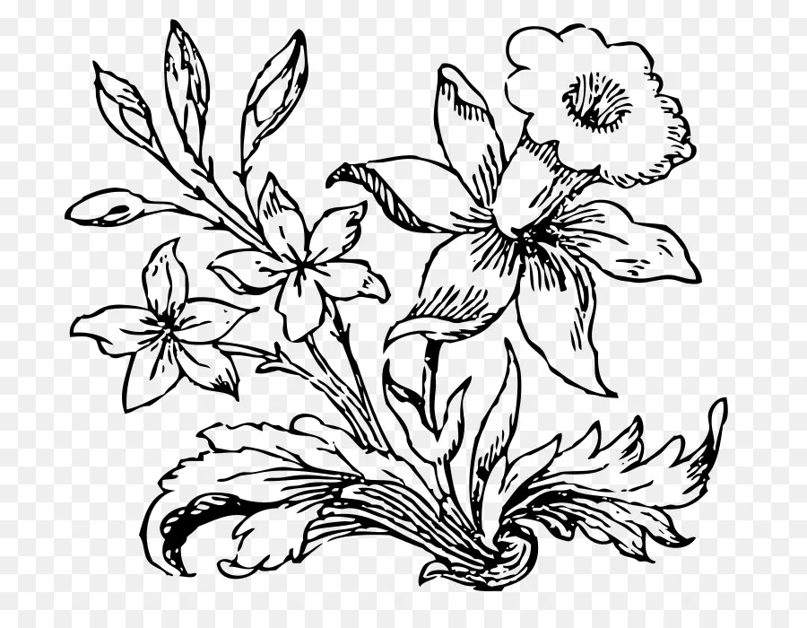 Dibujo De Flores，Bosquejo PNG