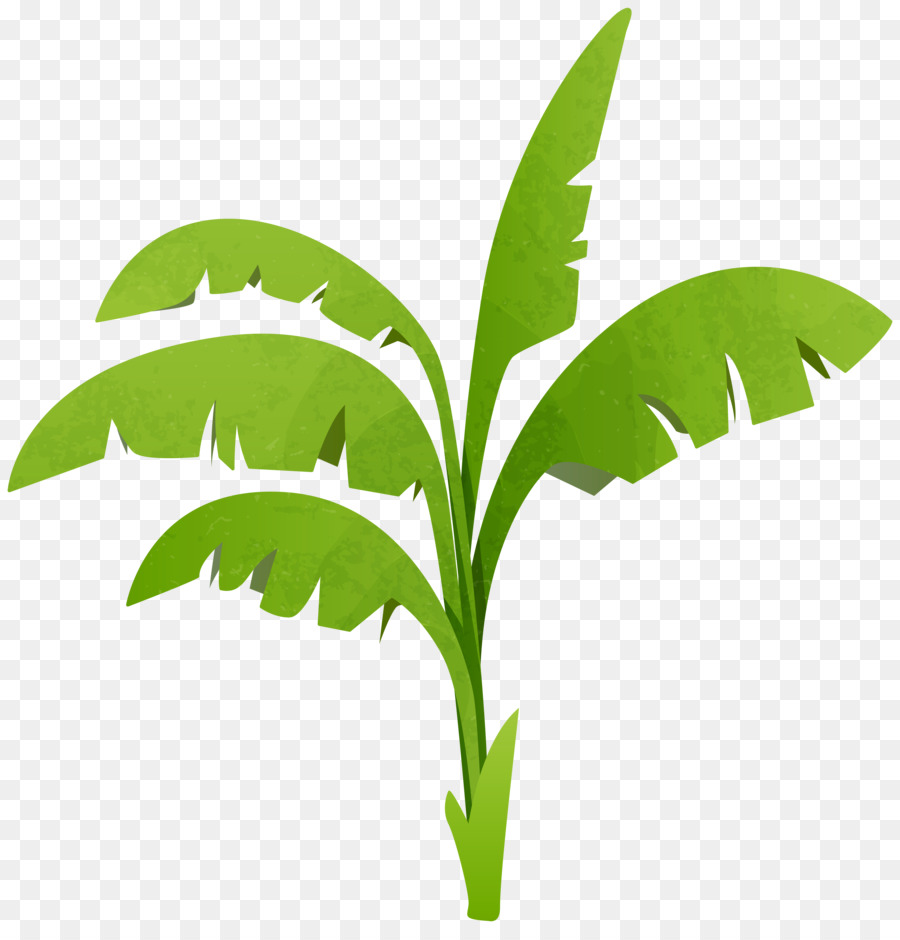 Planta，árbol PNG