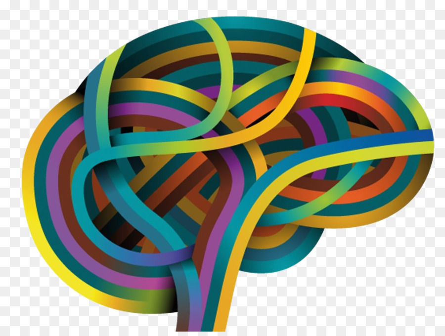 Cerebro Colorido，Cerebro PNG