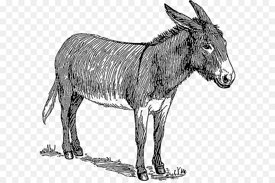 Burro，Granja PNG