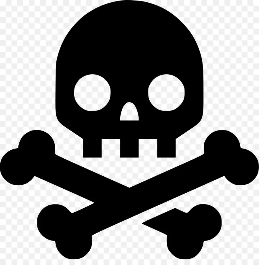 Cráneo Y Bandera Pirata，Iconos De Equipo PNG