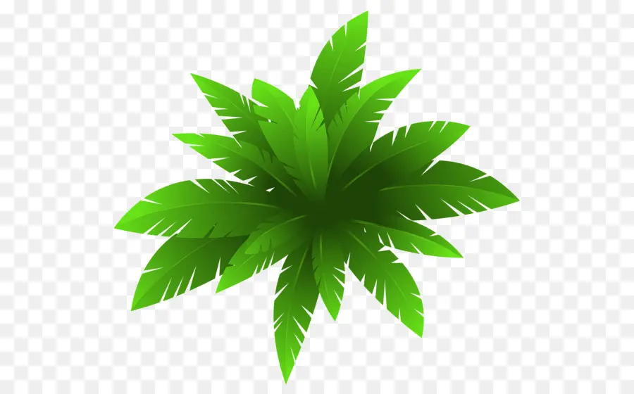 Planta，Planta De Casa PNG