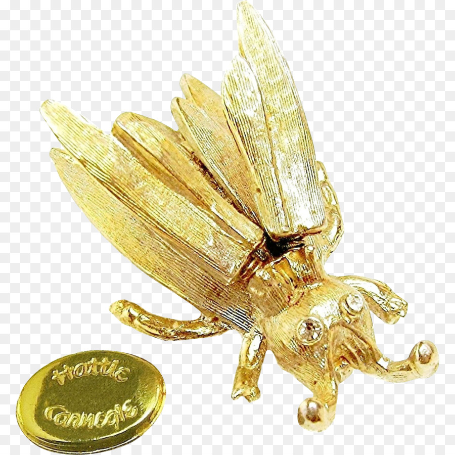 Joyería，Broche PNG