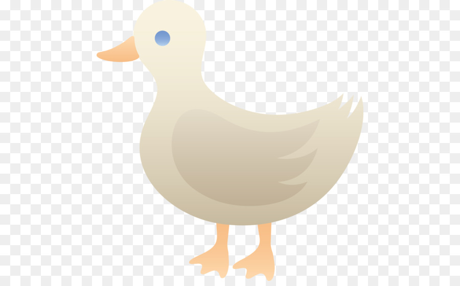 Pato，El ánade Real PNG