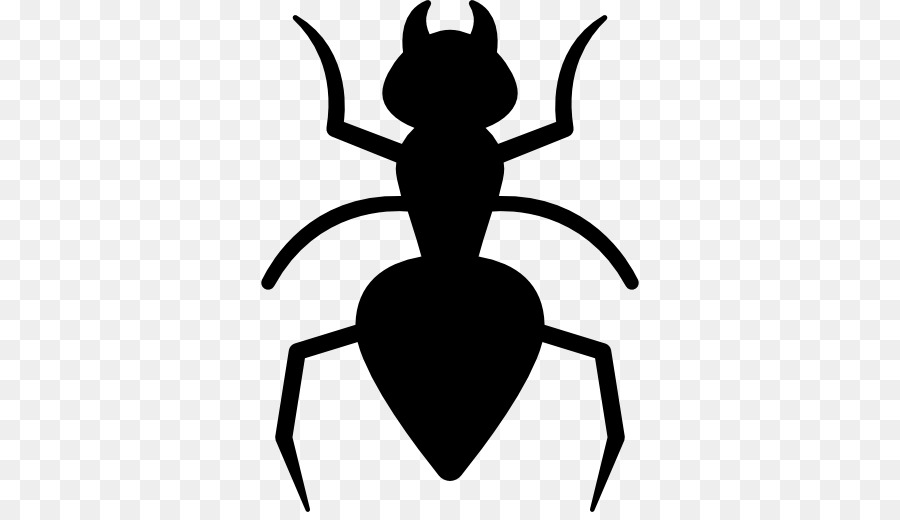 Ant，Cucaracha PNG