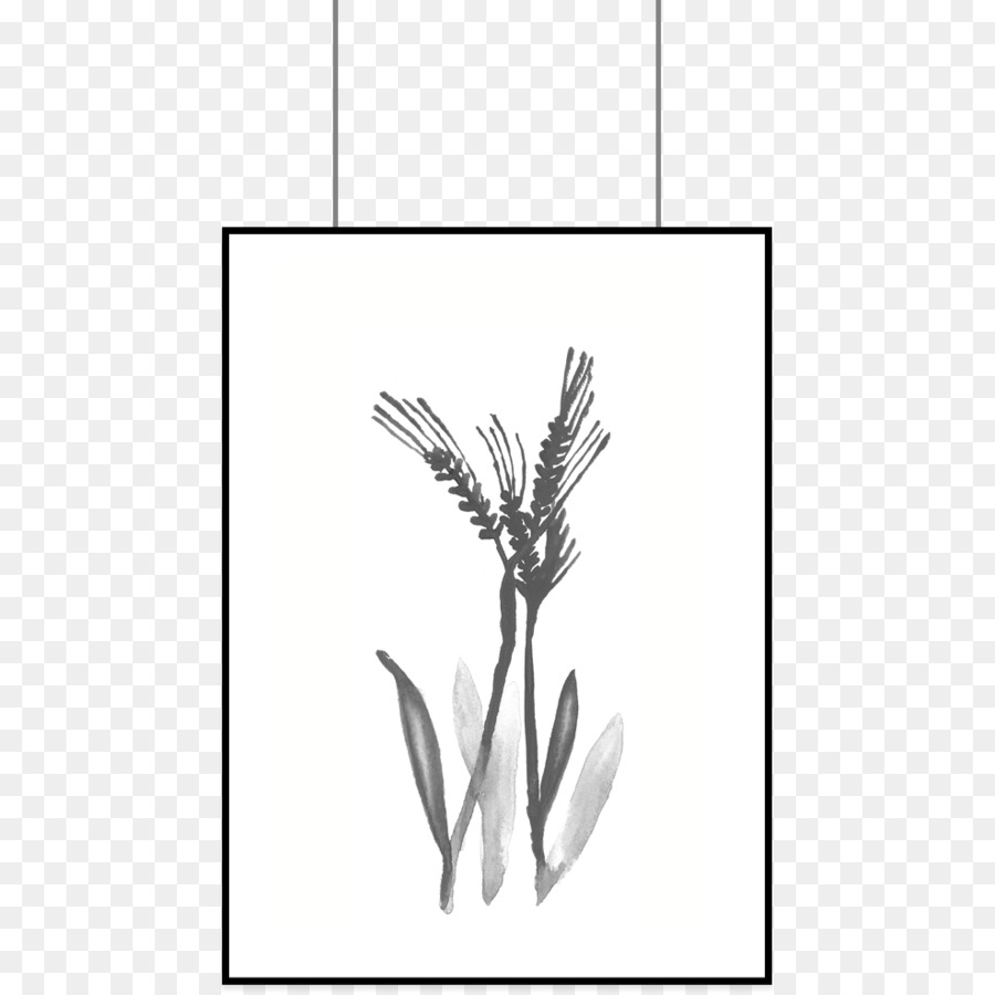 Planta，Los Pastos PNG