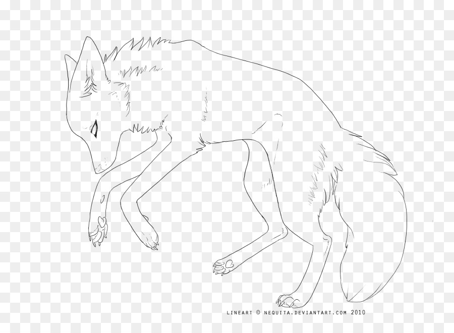 Bosquejo Del Lobo，Dibujo PNG