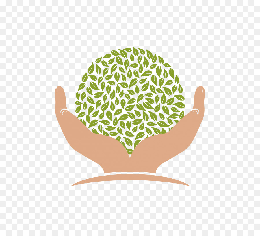 Planta De Mano，Verde PNG