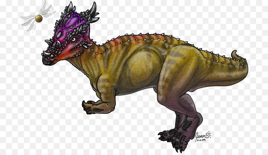 El Dracorex，Pachycephalosaurus PNG