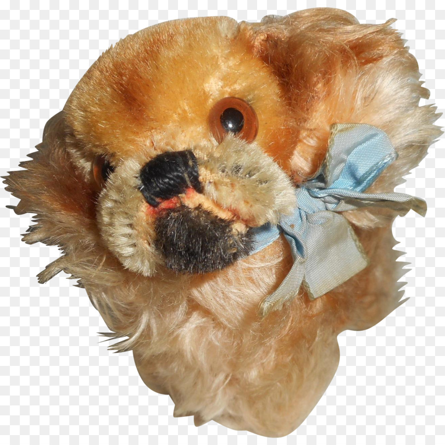 Shih Tzu，Cachorro PNG