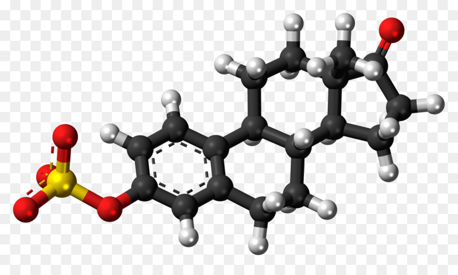 La Progesterona，Hormona Esteroide PNG