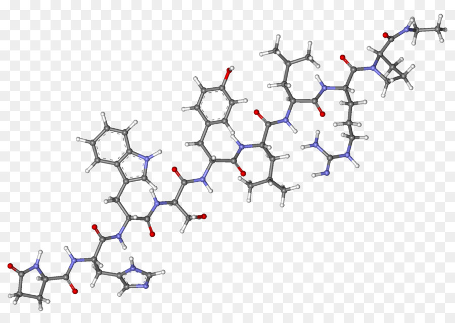 Leuprorelin，Gonadotropinreleasing De La Hormona PNG