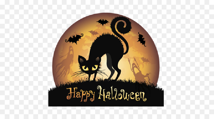 Halloween，Gato Negro PNG