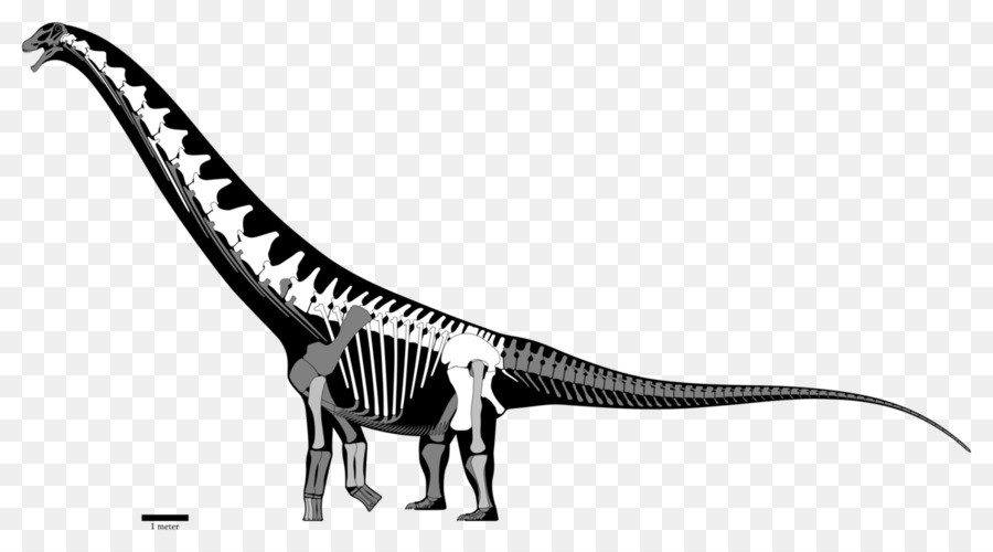 Futalognkosaurus，Ampliamente Cretácico PNG