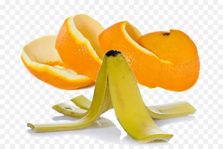 Cáscaras De Frutas，Fruta PNG