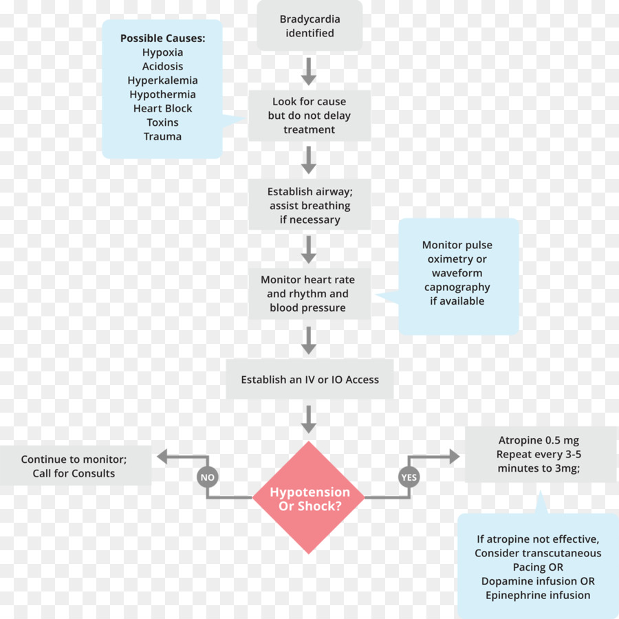 Soporte Vital Cardiaco Avanzado，Bradicardia PNG