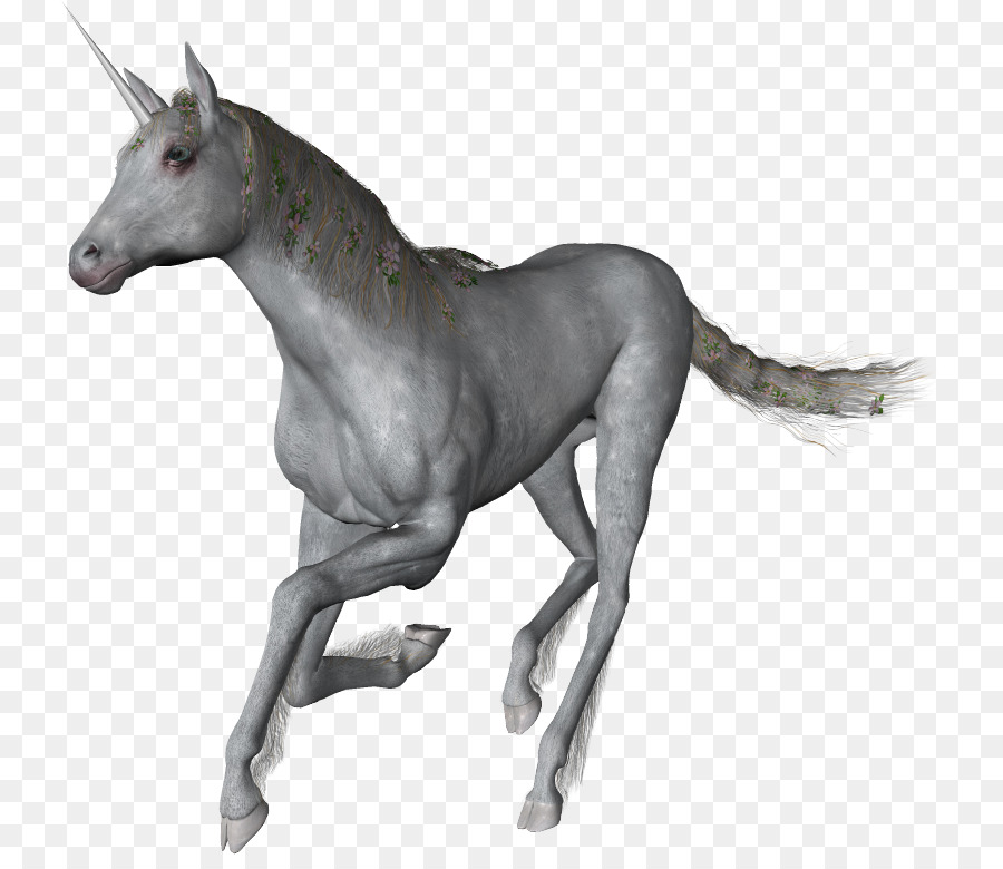 Unicornio，Mítico PNG