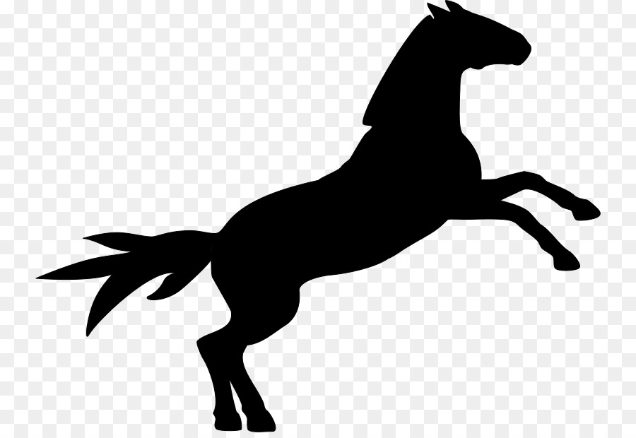 Caballo Negro，Silueta PNG