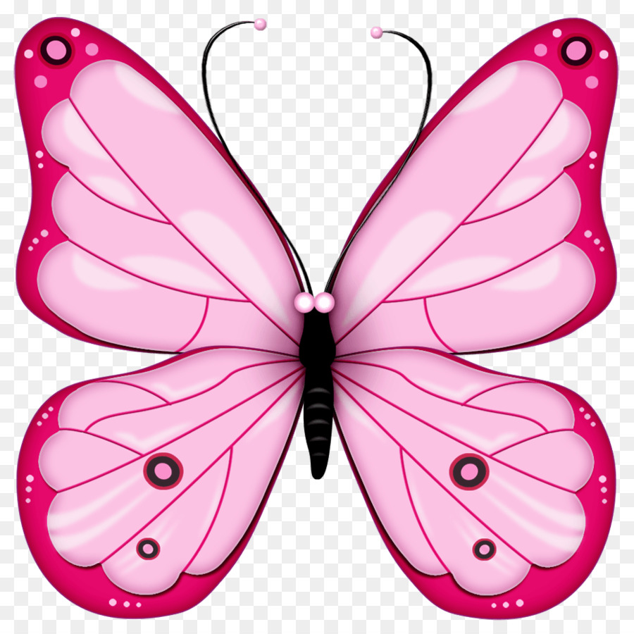 Mariposa，Rosa PNG