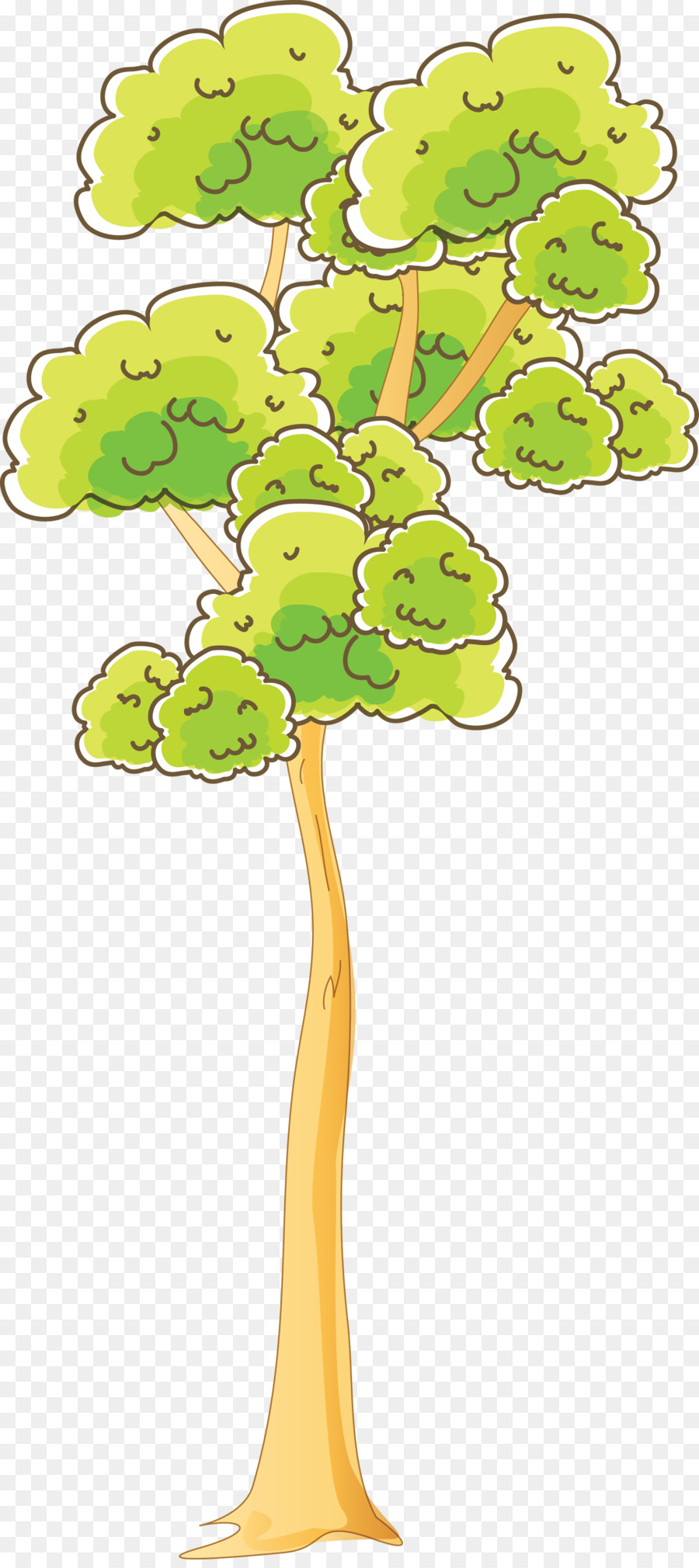 árbol，Planta Leñosa PNG