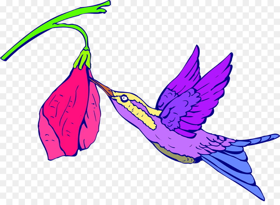 Colibrí，Royaltyfree PNG