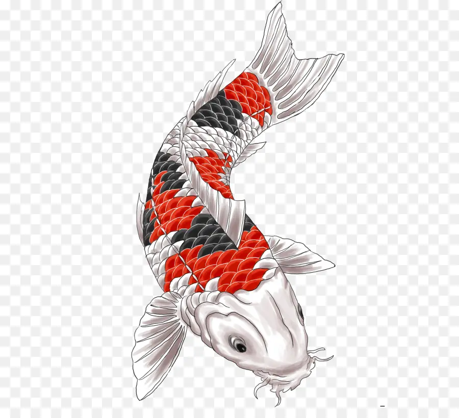 Koi，Tatuaje PNG