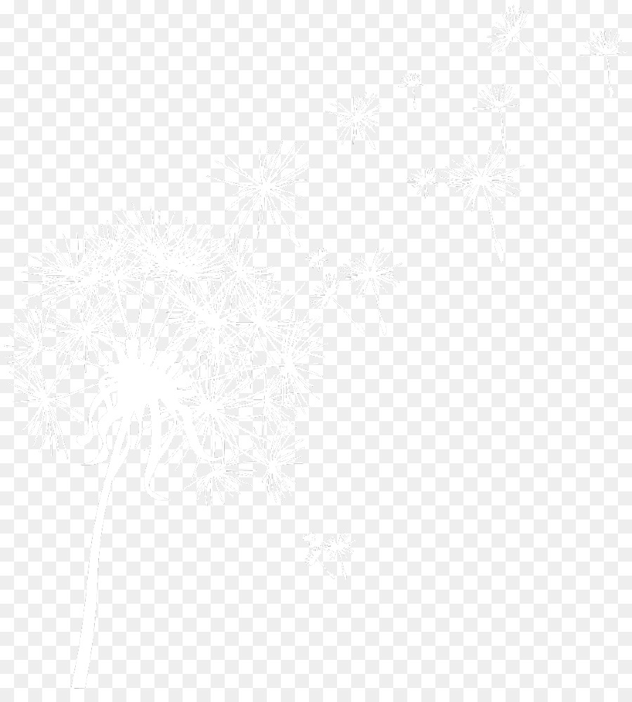 Blanco，Monocromo PNG