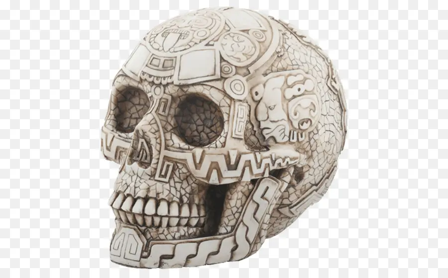 Cráneo，Calavera PNG