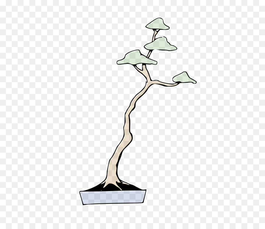 Árbol Bonsái，Árbol PNG