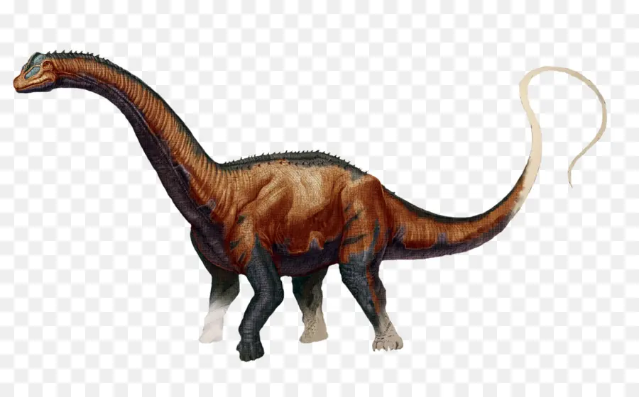 Arca De Supervivencia Evolucionado，Brontosaurus PNG
