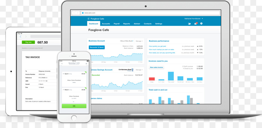 Xero，Contabilidad PNG