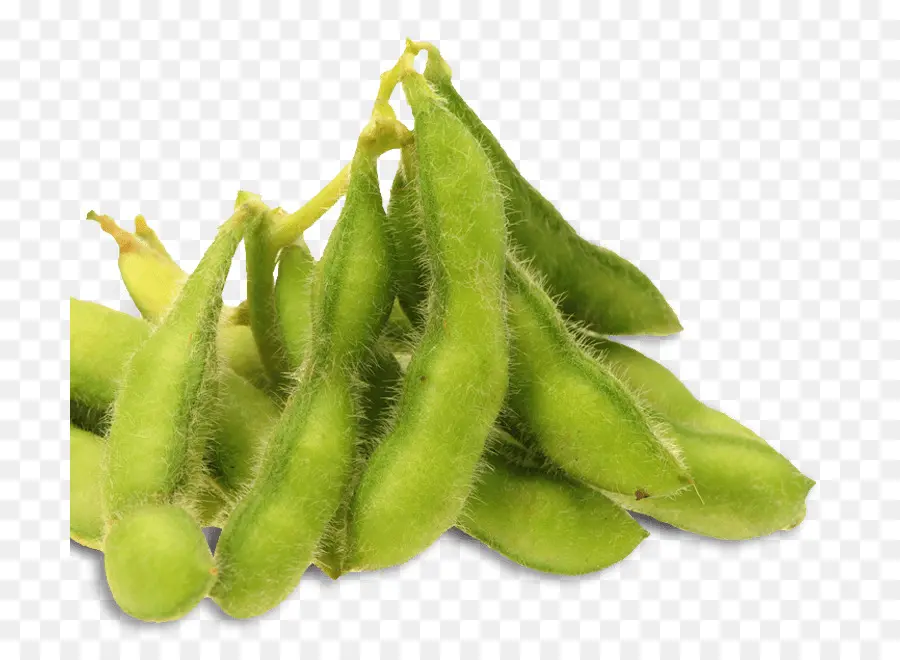 Edamame，La Leche De Soja PNG