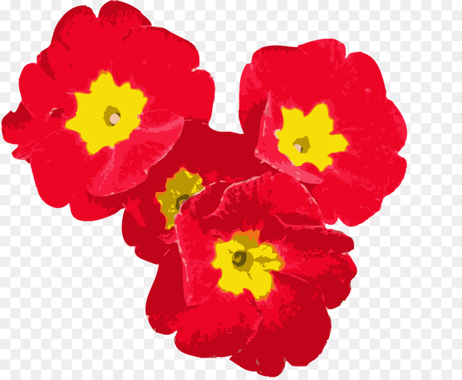 Rojo，Flor PNG