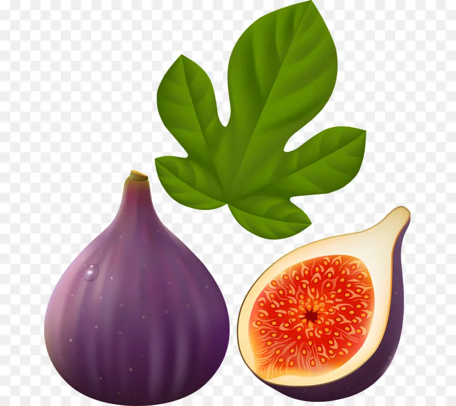 Higuera Común，Fruta PNG