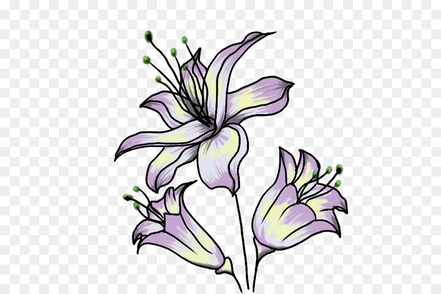 Flor，Dibujo PNG