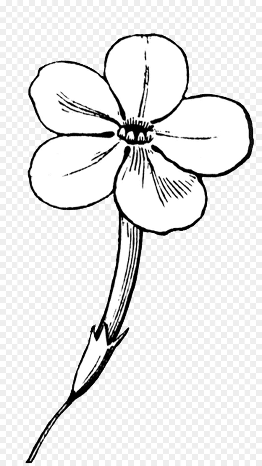 Flor，Arte Lineal PNG