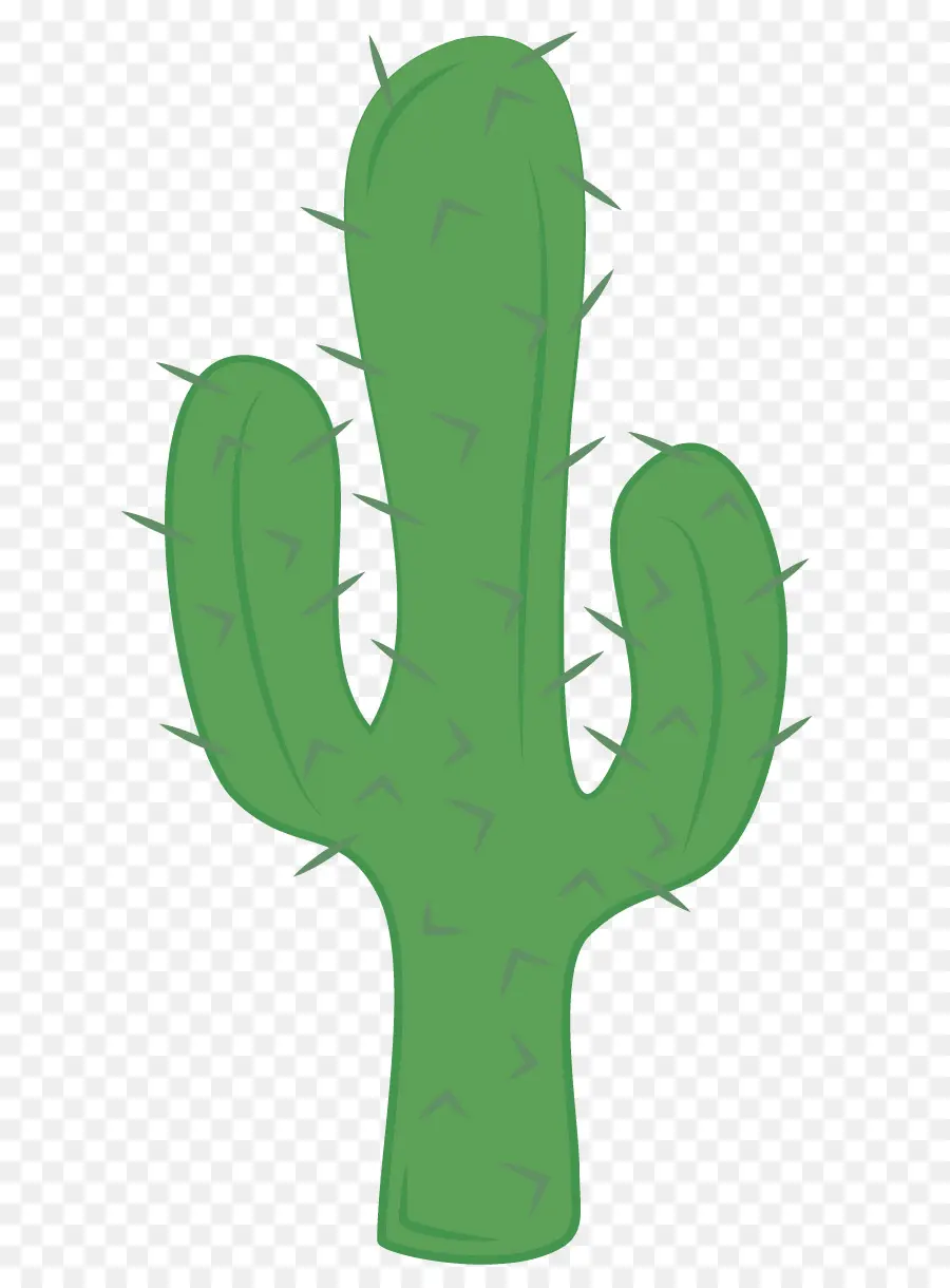 Cactus，Desierto PNG