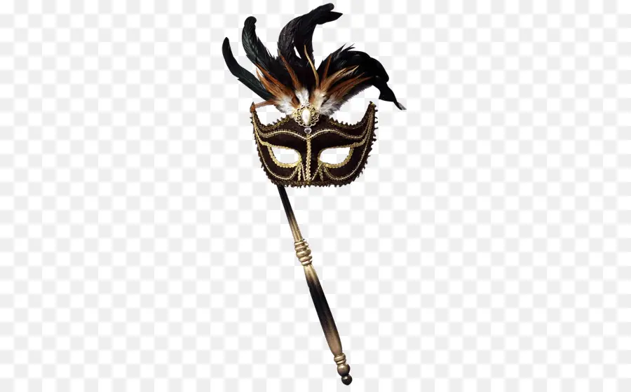 Mascarilla，Plumas PNG