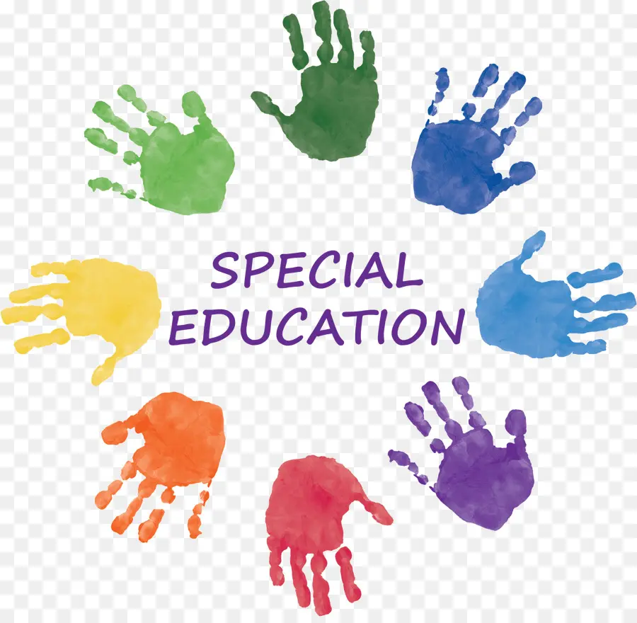Educación Especial，La Educación PNG