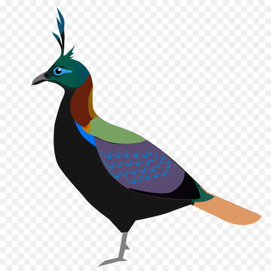 Pájaro，Uttarakhand PNG