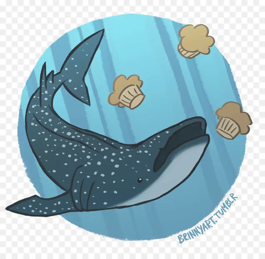 Tiburón Ballena，Dibujos Animados PNG