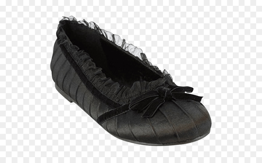 Zapatilla De Tierra，Ecco PNG