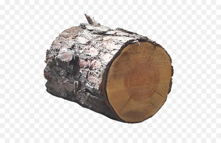 Tronco De Madera，árbol PNG