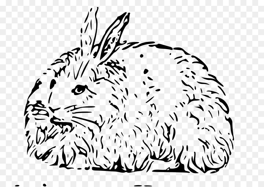 Conejo De Angora，Conejo De Pascua PNG